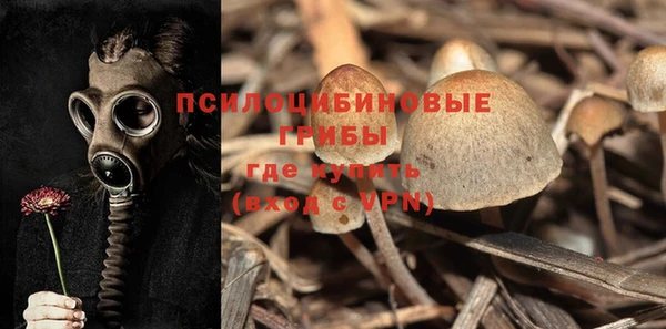 дурь Абдулино