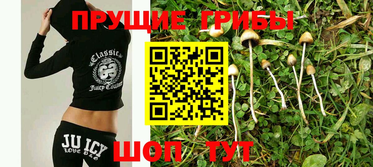 как найти наркотики  Вход с VPN  Братск  Галлюциногенные грибы Cubensis 