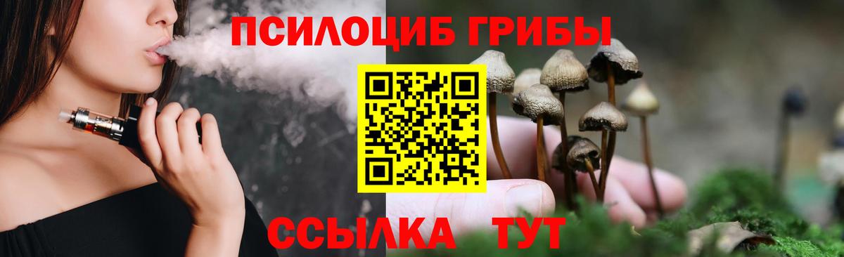 Псилоцибиновые грибы Magic Shrooms Братск
